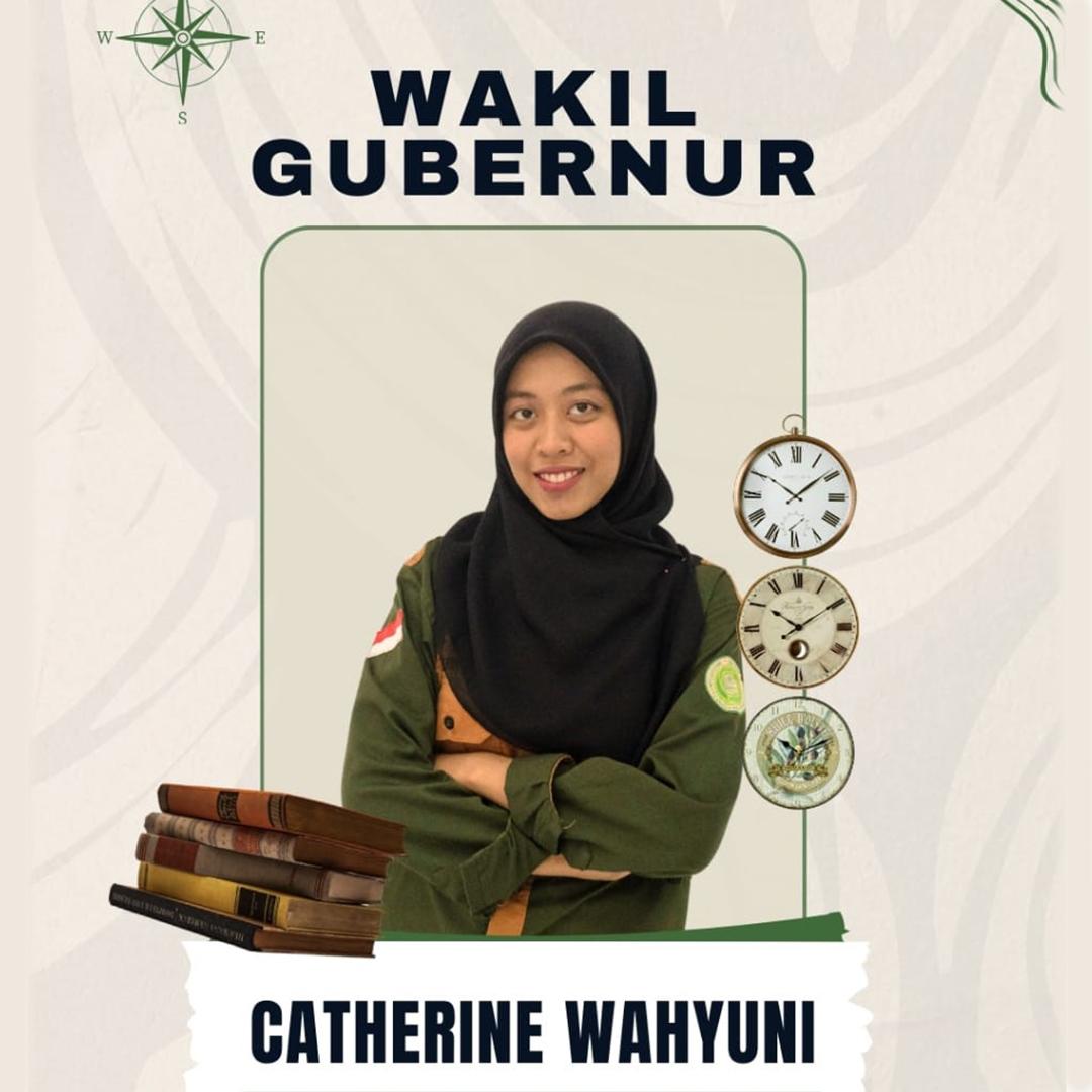 Wakil Gubernur